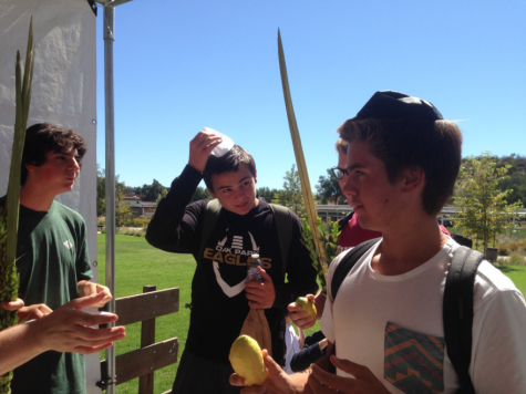 Club Spotlight: Jewish Club