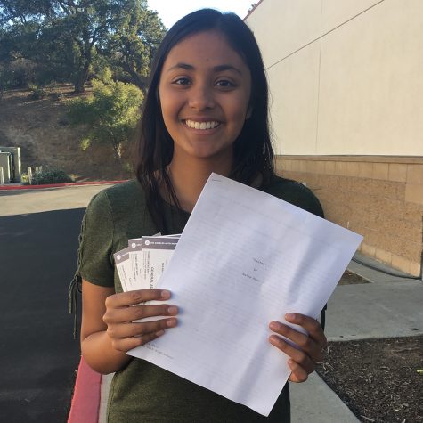 Sophomore places second in ad competition