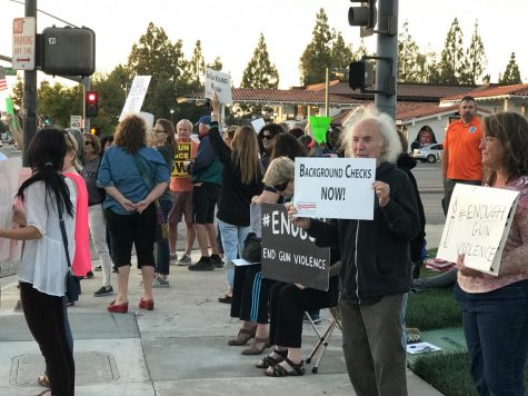 Activist groups advocate stricter gun control at protest, vigil