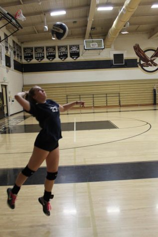 Volleyball