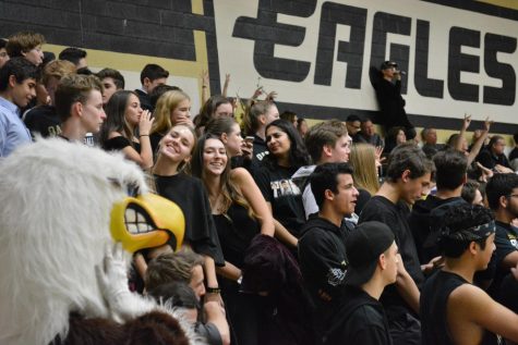 Birdcage Cheers Basketball Teams to Victory