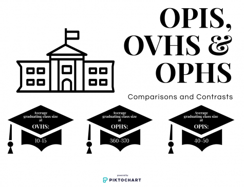 OPIS and Oak View: a look into Oak Park’s independent schools. CAa c