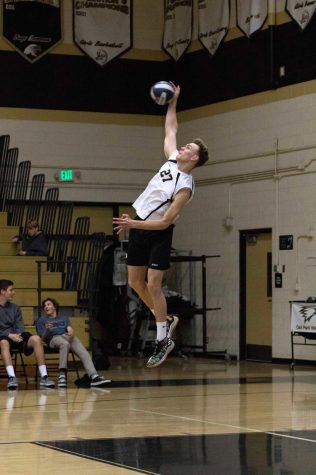 Profile : Tim Baldwin