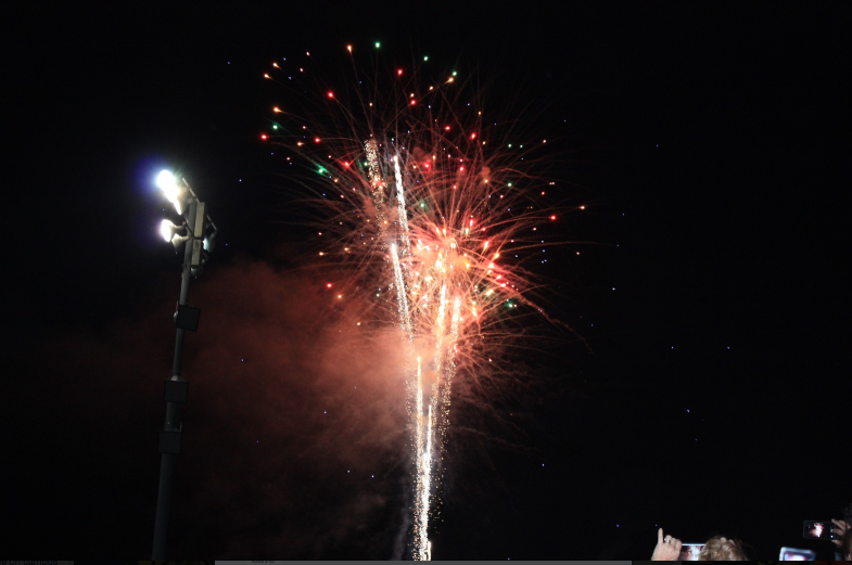 +Fireworks+late+at+night+disturb+the+birds+as+they+are+resting+because+they+are+not+adapted+to+these+conditions+