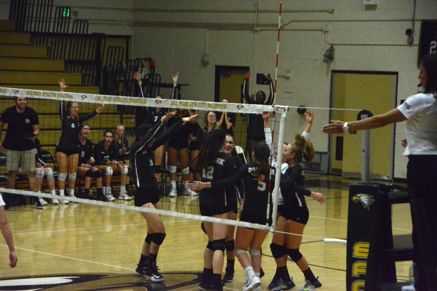 Girls%27+varsity+volleyball+team+spikes+the+ball+over+the+net+in+order+to+get+ahead+in+the+game