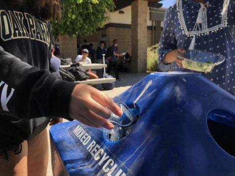 How recycling works and where it all ends up