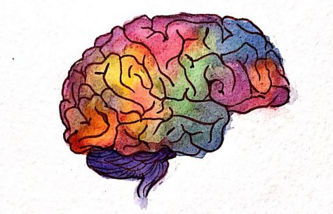 Education System and Student Brain