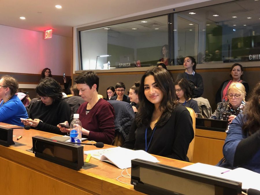 As+a+UN+delegate%2C+Mohebi+attends+the+United+Nation%E2%80%99s+63rd+Commission+on+the+Status+of+Women+in+New+York+