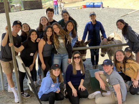 Advanced Peer Counselors learn about equine therapy