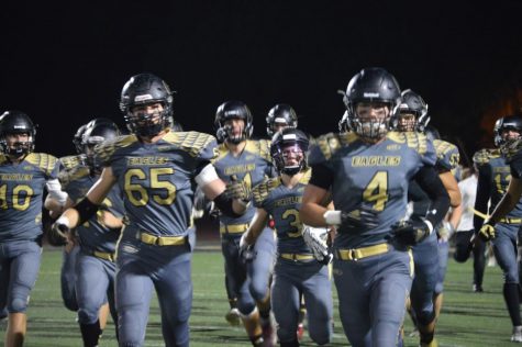 Eagles soar above competition
