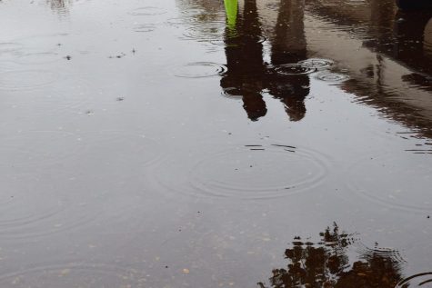 Surprise, surprise, it actually rained