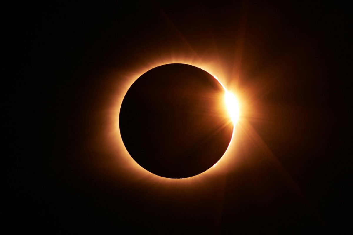 Panther Post Presents: The Solar Eclipse at Medea Creek