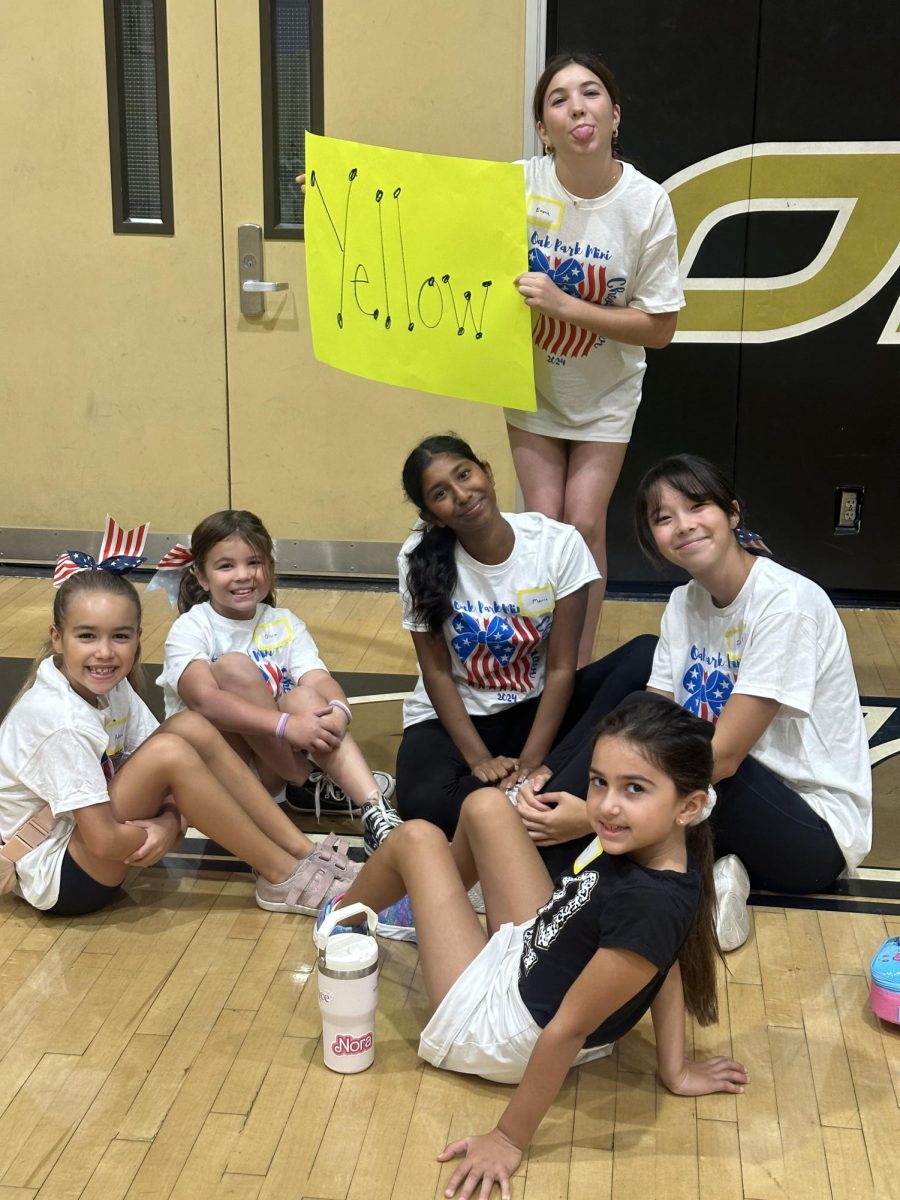 The second grade mini campers join a few cheerleaders in the yellow group.