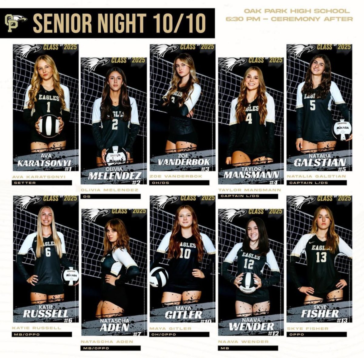 2024 girls volleyball seniors banner