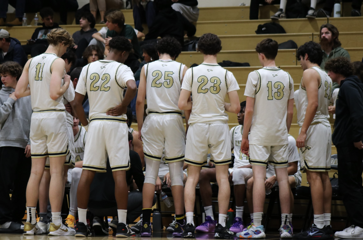 Boys basketball season preview