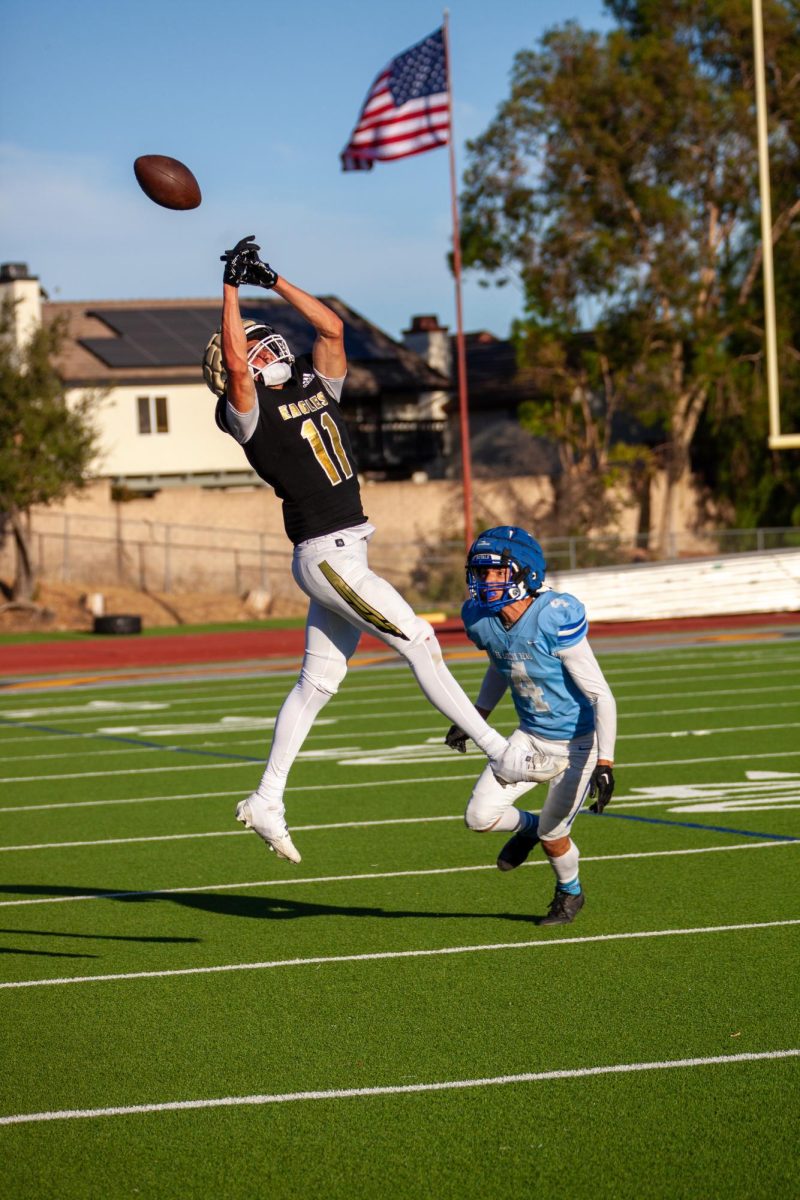 The next generation of OPHS Flicks