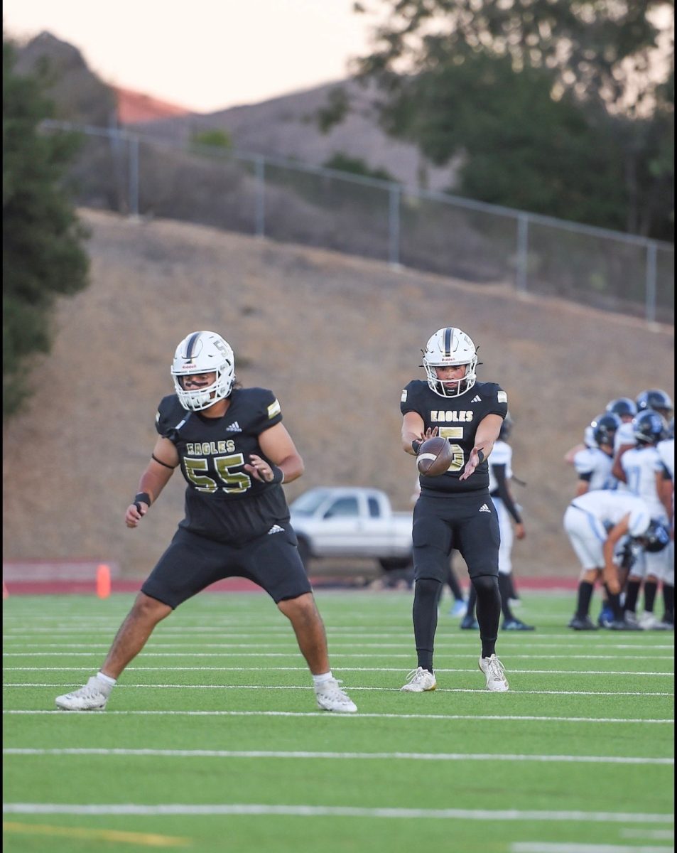 (Photo by Pasha Heydari/OPHS)